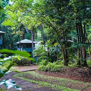  Lodge Ferntree Rainforest Australien